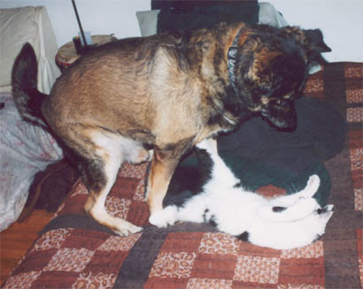Terror & Bud