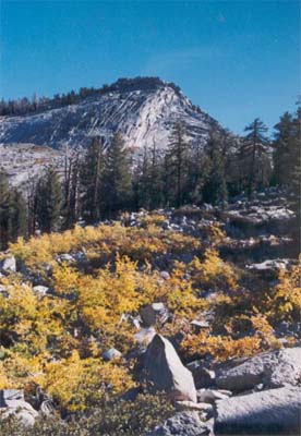 Yosemite, California