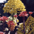 Golden Gate Park - Dahlia Gardens