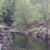 Smokies, Tennessee