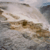 Yellowstone, Wyoming