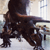 Museum of Natural History