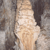 Carlsbad Caverns