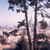 Nob Hill