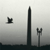 Washington Monument